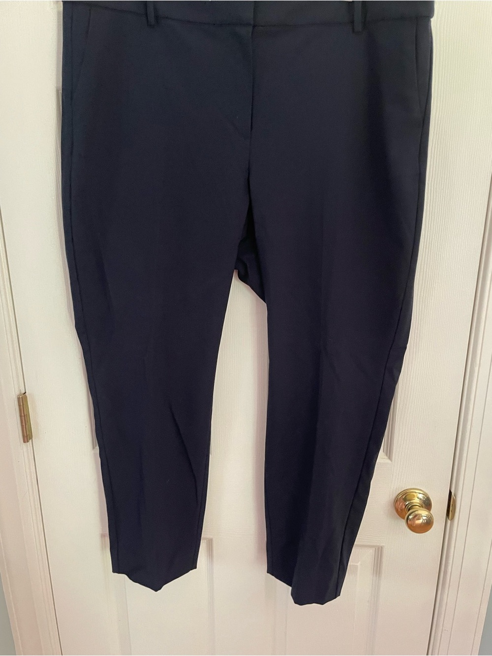 JCrew Women's Navy Ruby Crop Pants